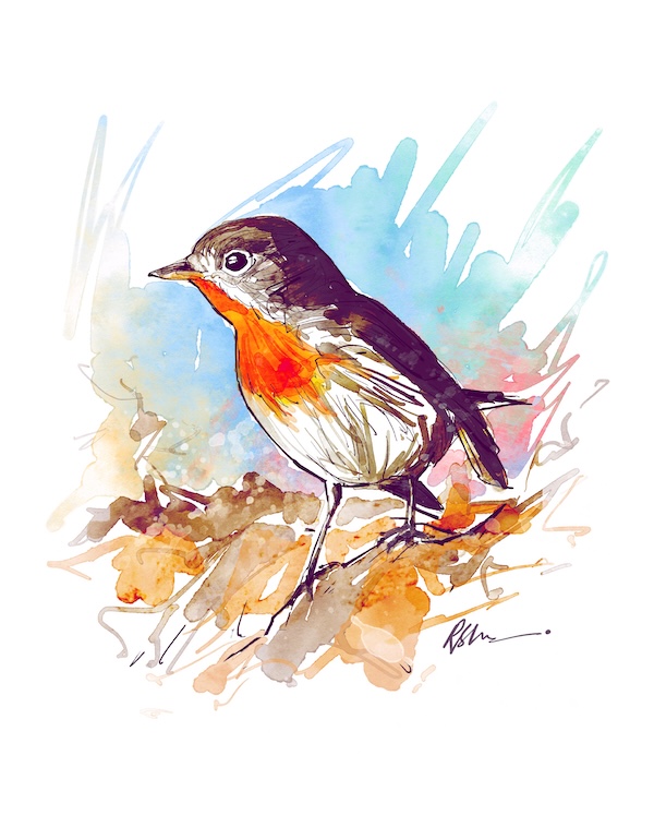 bird 1