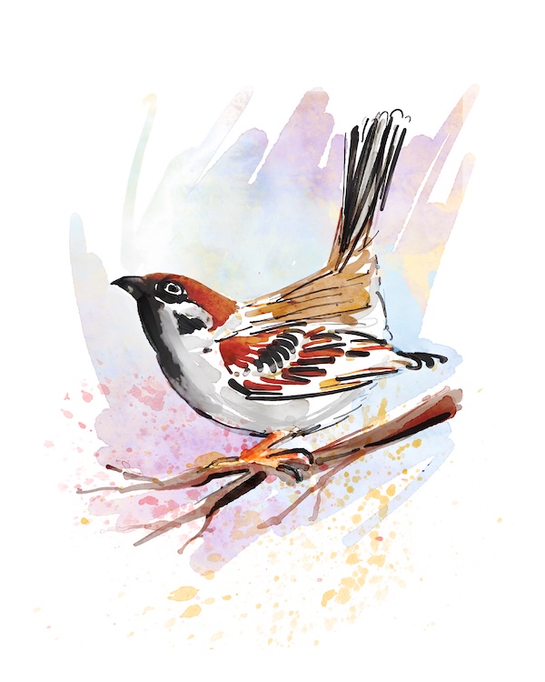 bird 2