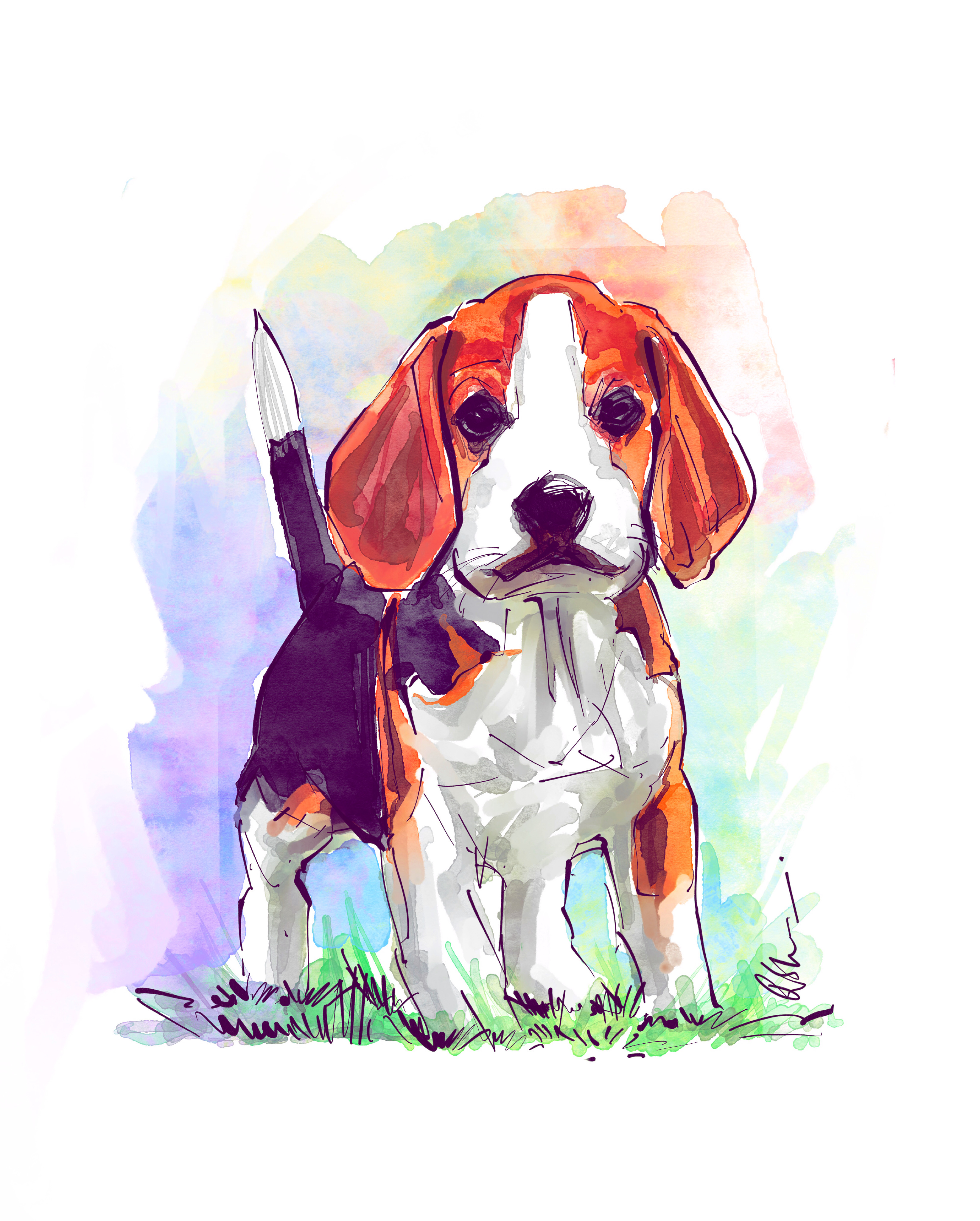 dog-1