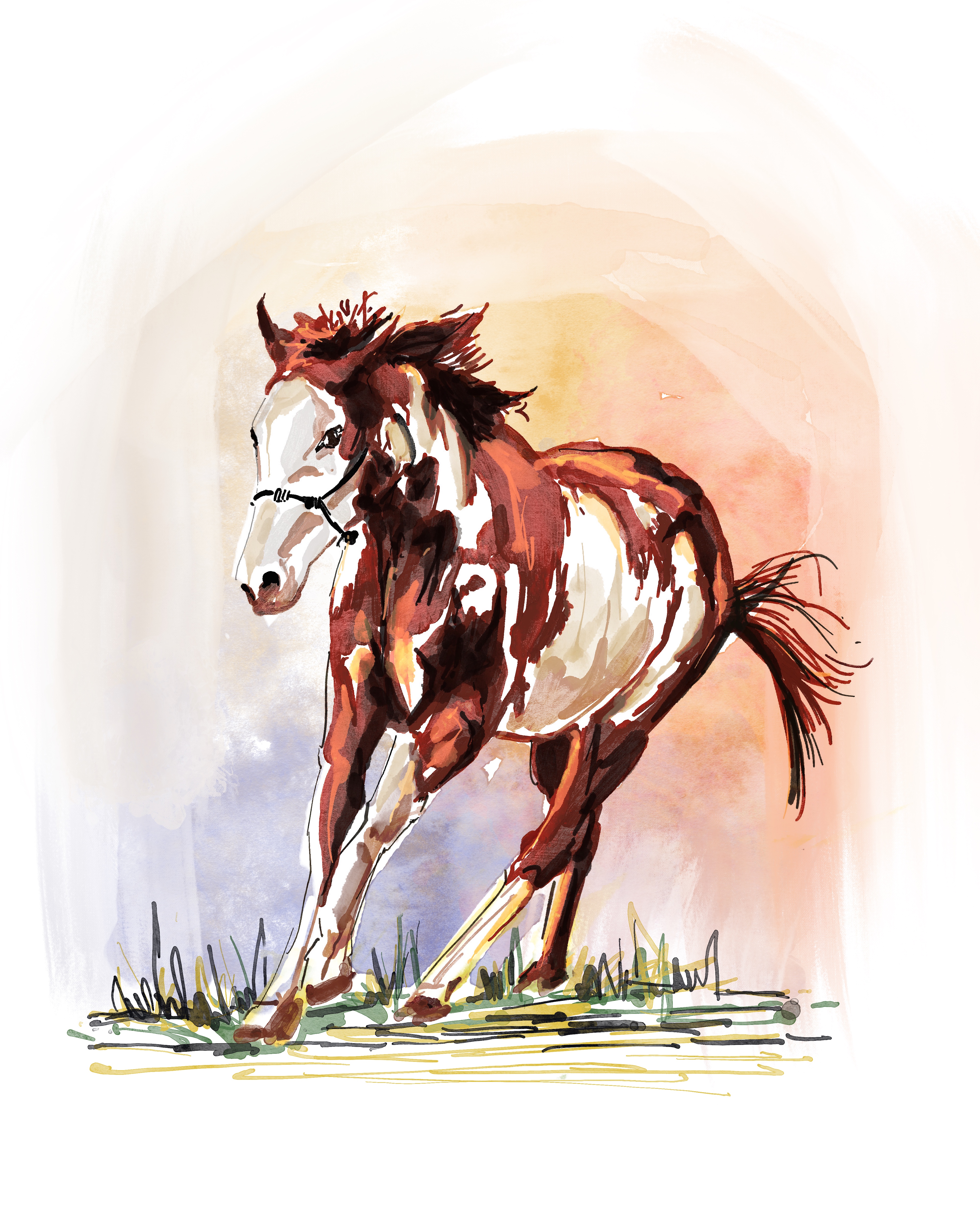 horse-1