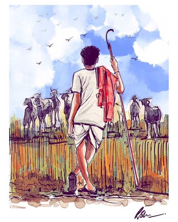 Rural India 12
