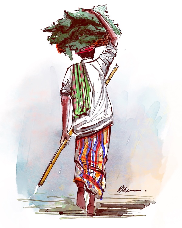 Rural India 16