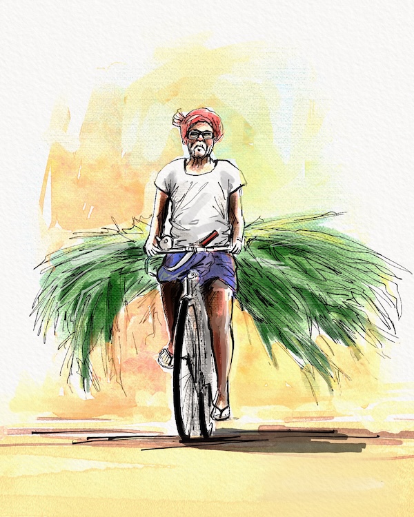 Rural India 42