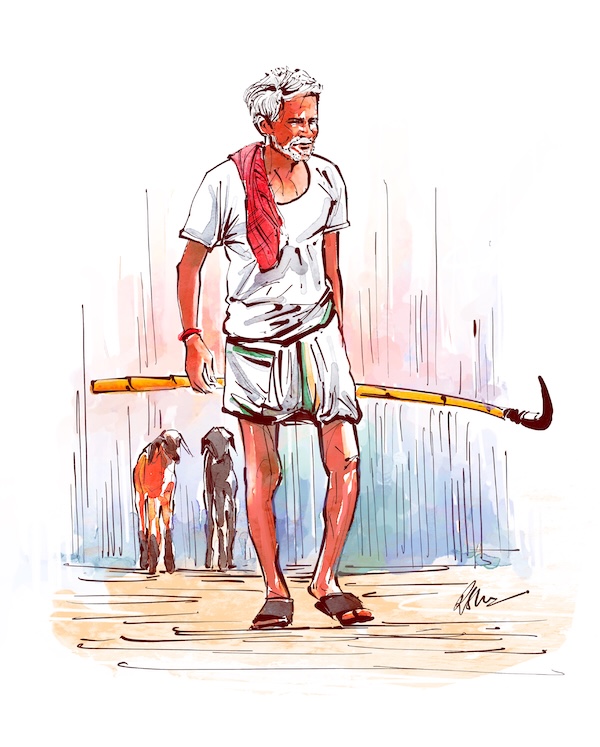 Rural India 6